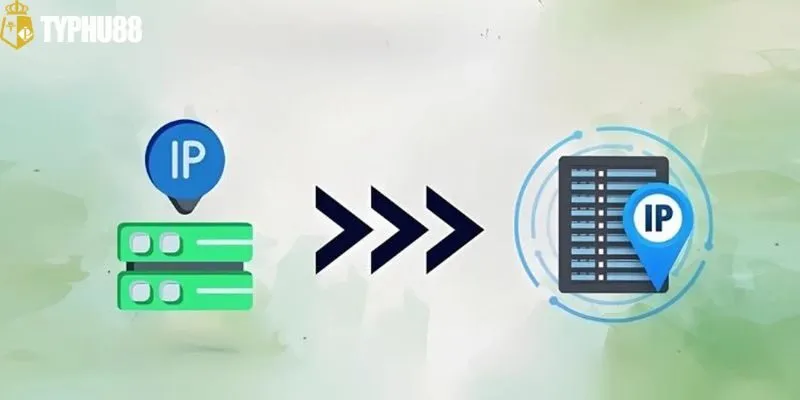 Dùng phần mềm fake IP để khắc phục sự cố nhanh chóng nhất